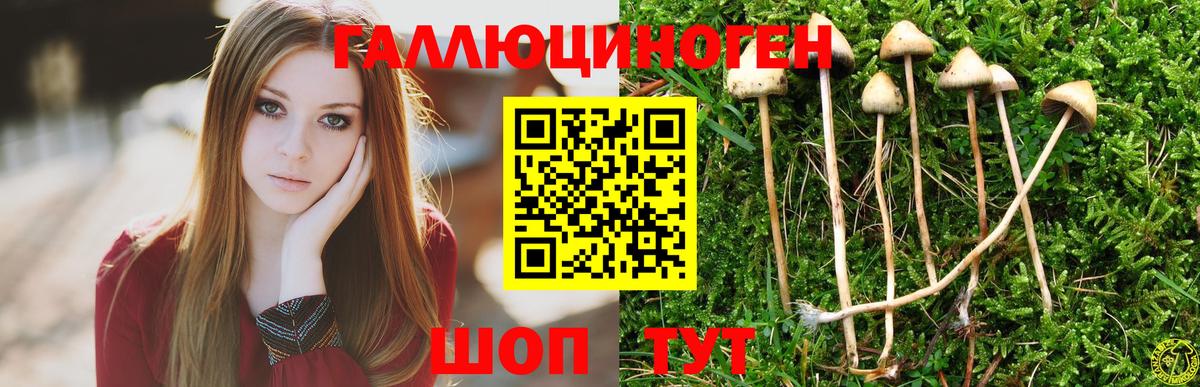 Галлюциногенные грибы прущие грибы Бийск
