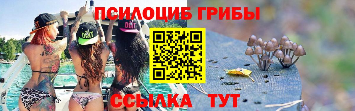 Бийск  Псилоцибиновые грибы мухоморы  Вход с VPN  Галлюциногенные грибы MAGIC MUSHROOMS 